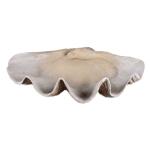Propeller Sculptures Set of 2