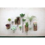 Kalalou Artificial Pledge Succulent, One Size, Green - Image 2