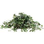 V950632 table top decor toss pillow