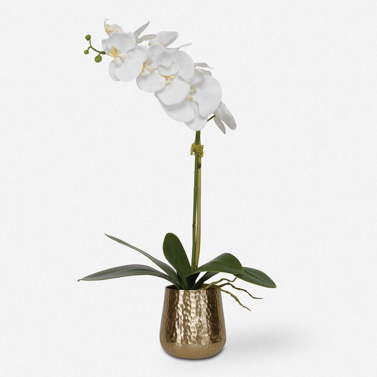 Cami Orchid, Brass Cami Orchid, Brass