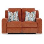 Danum Reclining Loveseat - Image 5